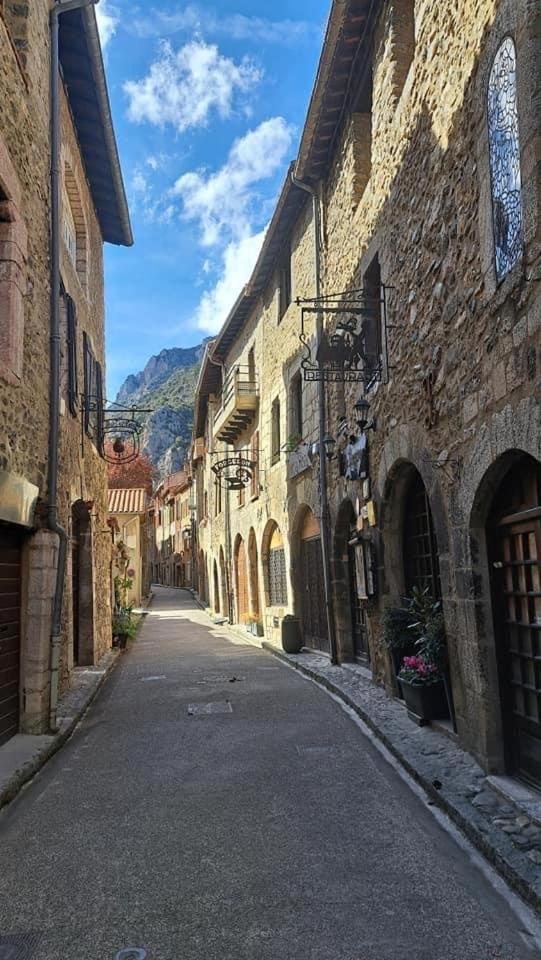Maison Les Ramparts Villefranche-de-Conflent Exteriör bild